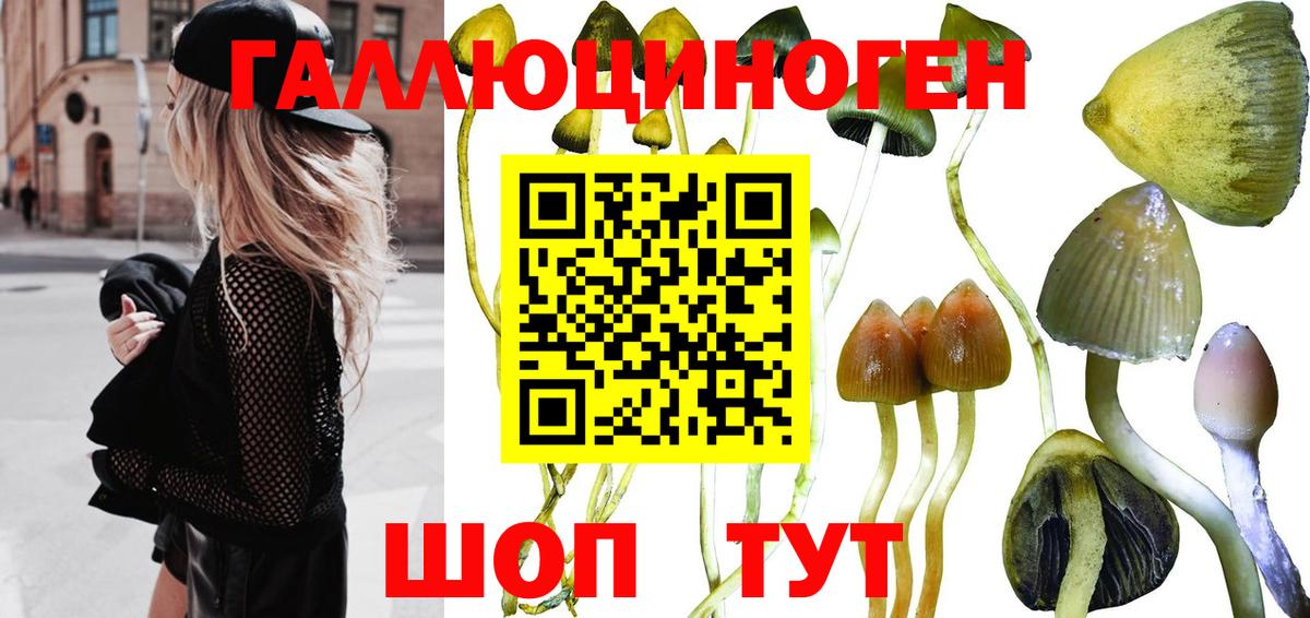 Галлюциногенные грибы Magic Shrooms Таганрог