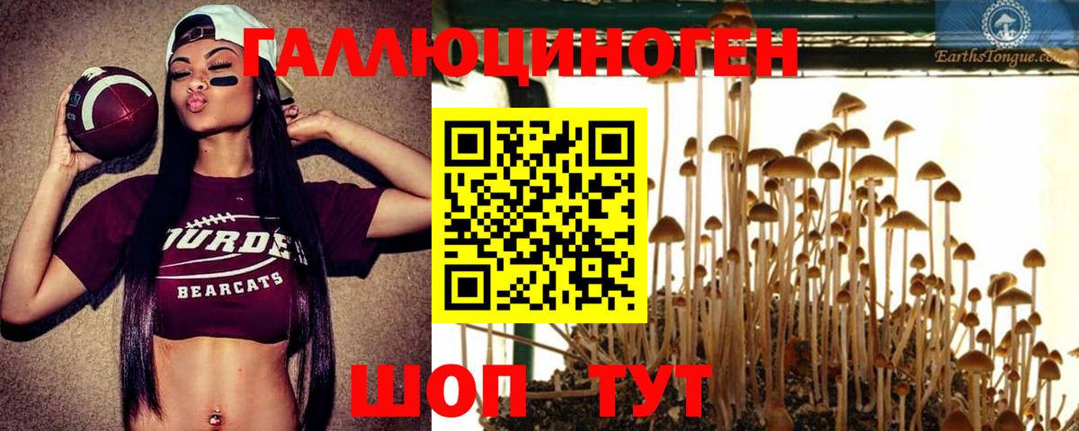 Таганрог  Галлюциногенные грибы мухоморы  Вход с VPN 